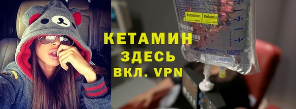 прущие грибы Абаза