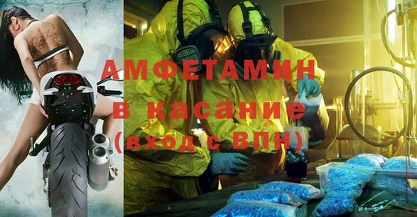 прущие грибы Абаза