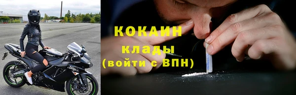 прущие грибы Абаза