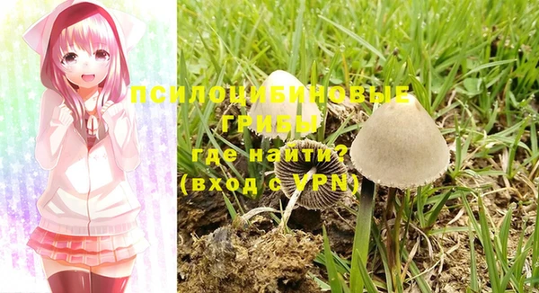 spice Абдулино