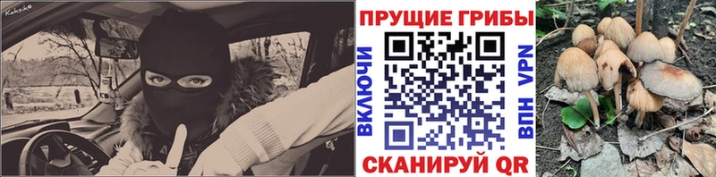 наркота  Ува  Псилоцибиновые грибы MAGIC MUSHROOMS 