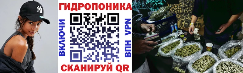 Шишки марихуана VHQ  Ува 